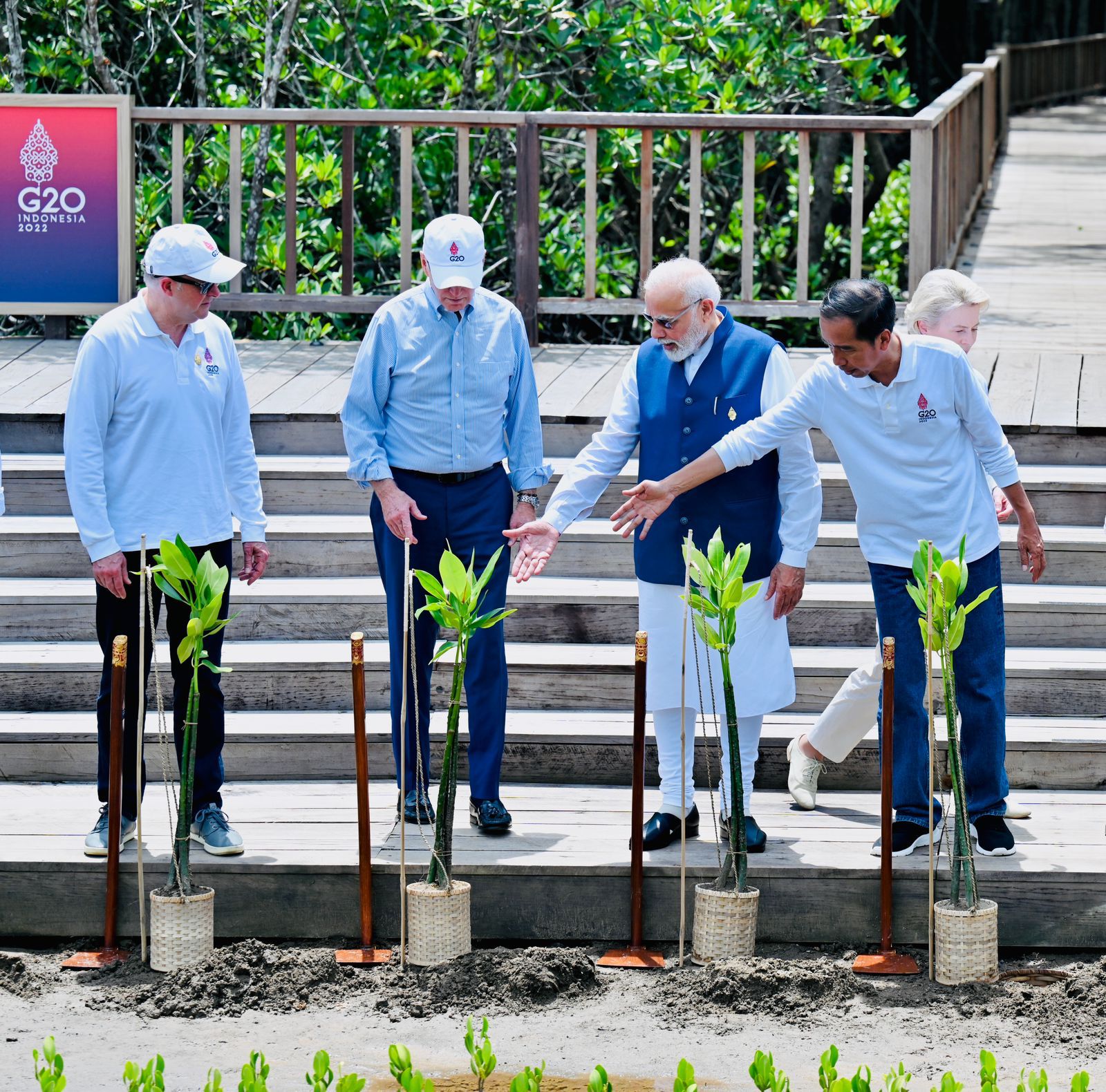 Presiden dan Para Pemimpin Negara G20 Tanam Pohon Mangrove di Tahura