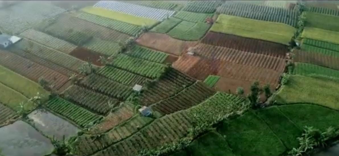 Desa Sukamaju Dengan Potensi Wisata, Budaya dan Pertanian